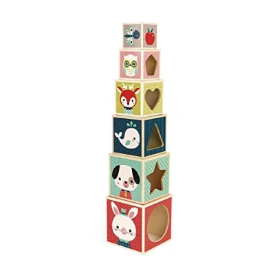 Imagen de Janod Baby Forest Pirámide de 6 Cubos Madera, Juguete Educativo Apilable y Construcción, Desarrollo La Motricidad Fina Manipulación Desde 1 Año, J08016