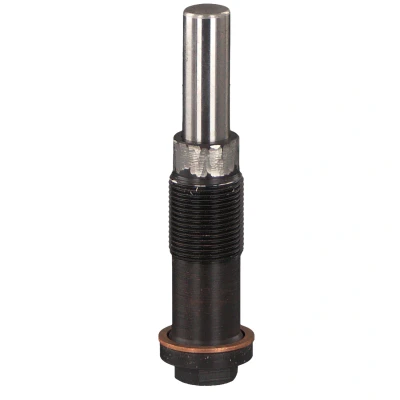 Imagen de FEBI BILSTEIN 46381 Tensor, cadena de distribución FORD: Galaxy Mk2 MPV, Focus 2, C Max