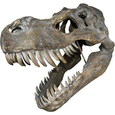 Imagen de Nemesis Now Tyrannosaurus Rex Skull Placa de pared (51,5 cm), color marrón
