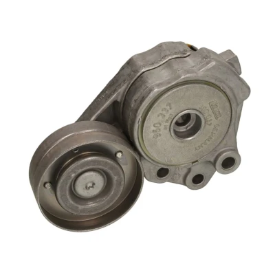 Imagen de INA 534 0374 10 Brazo tensor, correa trapecial poli V VOLKSWAGEN: Touran I, Golf 5, Passat B6 Berlina, SEAT: Ibiza 4