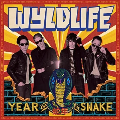Imagen de Year Of The Snake [Vinilo]