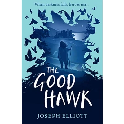Imagen de The Good Hawk (shadow Skye Book One)