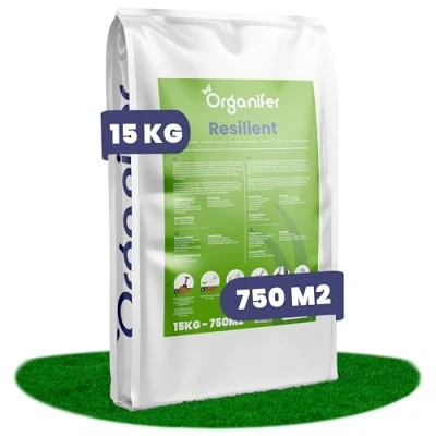 Imagen de Organifer Semillas Para La Reparación Del Césped Cuidado De Raygrass Alta Resiliencia Rejuvenecimiento Césped, (15 Kg = 750 M2)