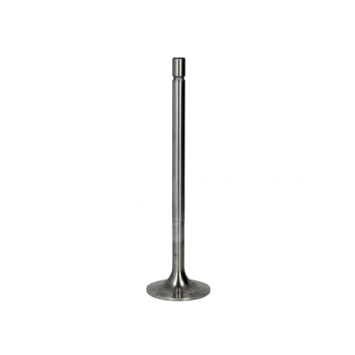 Imagen de Válvula de admisión FRECCIA R6488/SCR