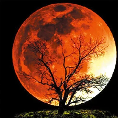Imagen de OWN4B Kits de punto cruz estampados, patrón impreso árbol nocturno luna 11CT 14.2 x pulgadas, kit bordado (luna)