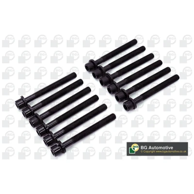 Imagen de BGA BK6397 Juego de Tornillos Culata dentado interior 12 VOLKSWAGEN: LT 28 35 II Bus, TRANSPORTER 4, 4 VOLVO: V70 2, S80 I