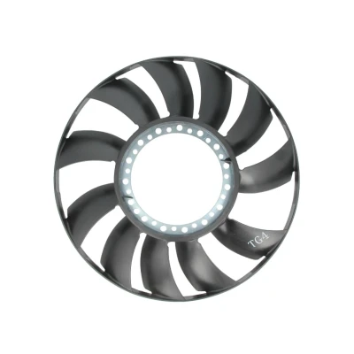 Imagen de THERMOTEC D9W001TT Rodete ventilador, refr. motor AUDI: A4 B6 Avant, B5 Berlina, VOLKSWAGEN: Passat GP Berlina