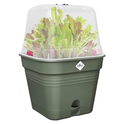 Imagen de Elho Green Basics Growpot Square Allin1 15 Verde Cultívalo Tú Mismo L x W H 12.1 cm