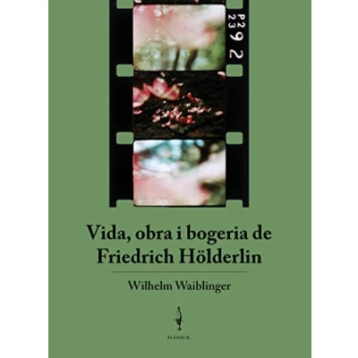 Imagen de Vida, obra i bogeria de Friedrich Hölderlin (FOTOGRAMES FLANEUR)
