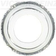 Imagen de REINZ 70 25792 00 Retenes de Válvulas RENAULT: 5 Hatchback
