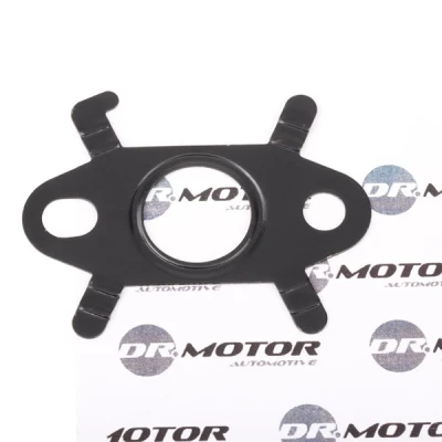 Imagen de DR.MOTOR AUTOMOTIVE DRM0471 Juntas RENAULT: GRAND SCENIC 2, MEGANE 2 Coupe Cabriolet