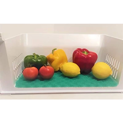 Imagen de Smart t Haus Esterilla para mentener los Alimentos Frescos el frigorífico Verde 47x30 cms