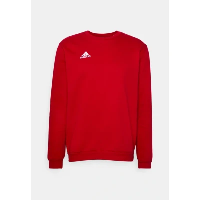 Imagen de adidas Performance Entrada Sudadera, Hombre, Talla: XS, Tepore