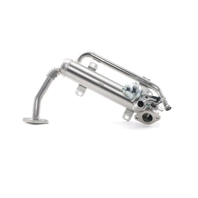 Imagen de NRF 48306 Enfriador EGR SEAT: Altea XL, Leon II Hatchback, AUDI: A3 Sportback, VOLKSWAGEN: Eos norauto, oscaro, mister auto