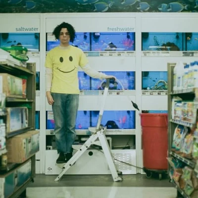 Imagen de Count The Stairs Vinilo