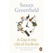 Imagen de A Day In The Life Of Brain (ebook)