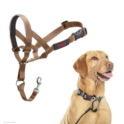 Imagen de Collar Ronzal HALTI para Evitar Que tu Perro Tire de la Correa, Ajustable con Banda Nariz Acolchada. Adiestramiento canino antitirones Perros medianos (Talla 3, Arena del Desierto)