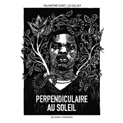 Imagen de Perpendiculaire Au Soleil (bd Fnac france Inter 2023; Grand Prix Arté