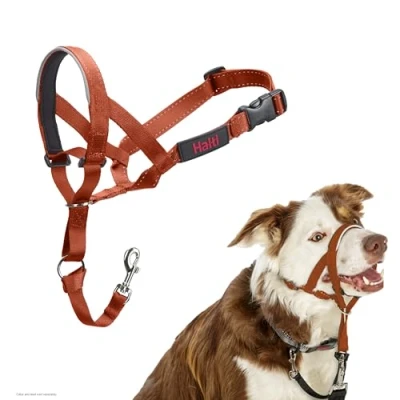 Imagen de Company of Animals Collar Ronzal HALTI, Ajustable con Banda de Nariz Acolchada. Adiestramiento canino antitirones para Perros medianos (Talla 2, Naranja Quemada)