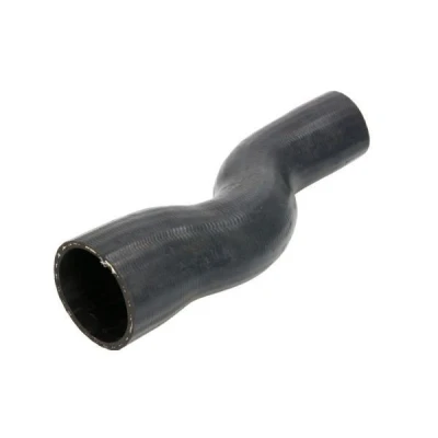 Imagen de Manguera de aire carga THERMOTEC DCX104TT