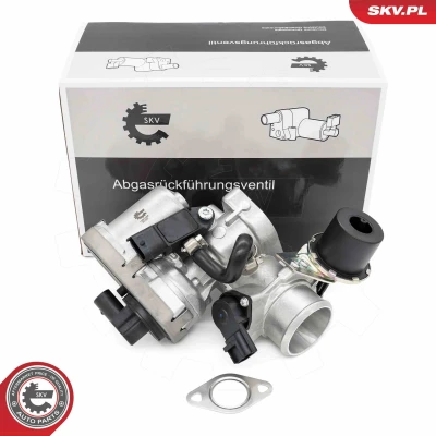 Imagen de Válvula EGR ESEN SKV 14SKV256
