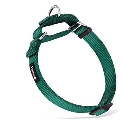 Imagen de Collar de Perro y niña Martingale pequeño Cachorro, Duradero, Que no se Puede Escapar: Entrenamiento a pie Uso Diario (Pequeño S, Verde Oscuro)