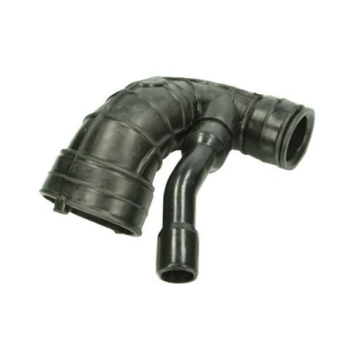 Imagen de THERMOTEC DCC019TT Tubo flexible de aspiración, filtro aire 34, 21 PEUGEOT: 206 SW, 207 Hatchback, FORD: Fiesta Mk5 Berlina