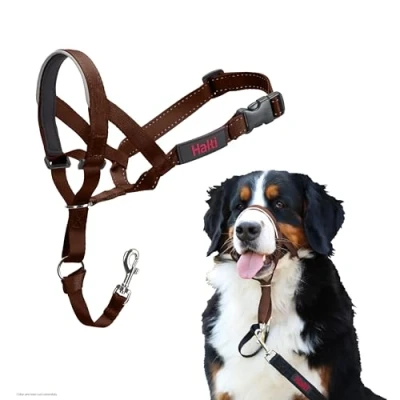 Imagen de Collar Ronzal HALTI para Evitar Que tu Perro Tire de la Correa, Ajustable con Banda Nariz Acolchada. Adiestramiento canino antitirones Perros Grandes (Talla 4, Nogal Profundo)