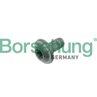 Imagen de Borsehung B10635 Tornillo, disco de freno VOLKSWAGEN: Golf 4, 5, Multivan 5 (7HM, SEAT: Ibiza 3, Toledo 2 Limousine, Leon II Hatchback