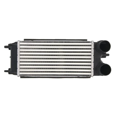 Imagen de THERMOTEC DAG018TT Intercooler FORD: Transit Courier Furgón, Tourneo Courier, Ecosport Mk2