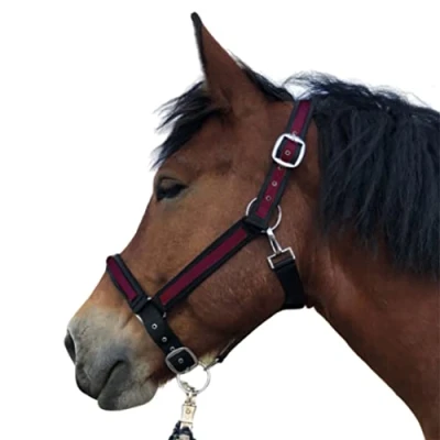 Imagen de cabestro para caballos de sangre fría, xxfull, ajustable con 2 compartimentos en la correa barbilla y nuca (negro burdeos, XXFull (sangre fría))
