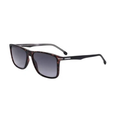 Imagen de CARRERA 298/S Gafas de sol hombre Habana
