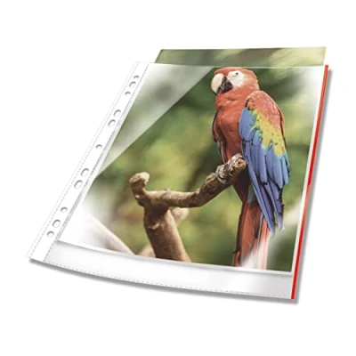 Imagen de Durable 265403 Fundas multitaladro perforadas PREMIUM con borde de color A4 cristal, PP, bolsa 10, rojo
