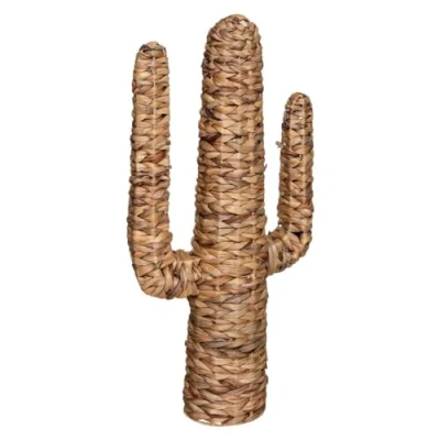 Imagen de Atmosphera Cactus «Hacienda» Jacinto de Agua H75 cm