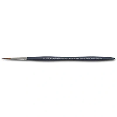 Imagen de Winsor &amp; Newton, Pincel sintético Profesional para Acuarela, Redondo Puntiagudo, nº4