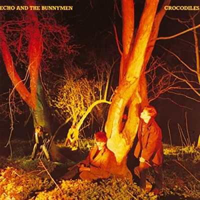 Imagen de Echo &amp; The Bunnymen Crocodiles (LP) [Vinilo]