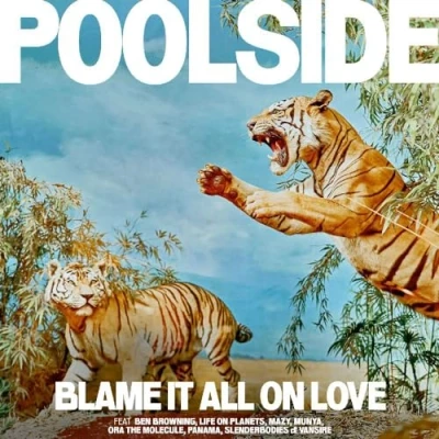 Imagen de Blame It All On Love Poolside