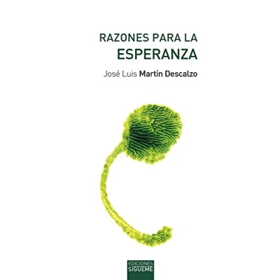 Imagen de Razones para La Esperanza (Nueva ed): 165 Alianza)