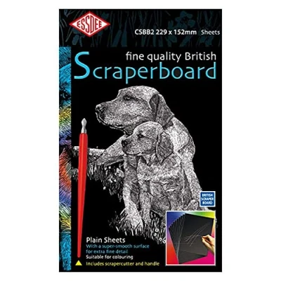 Imagen de ESSDEE CSBB2 5 Raspador británico, Tarjeta, Negro, 229 x 152