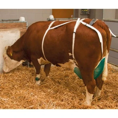 Imagen de Protección de ubre extra grande, Kerbl, Verde Adecuado para Ganado Vacas