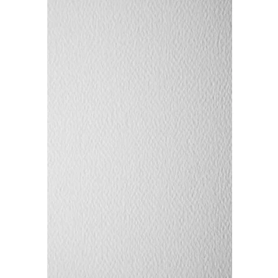 Imagen de Netuno Prisma Bianco Lote de 0 hojas cartón estructurado por ambos lados DIN A4 210 x 297 mm ideal para invitaciones tarjetas visita diplomas dibujar manualidades y decorar color blanco