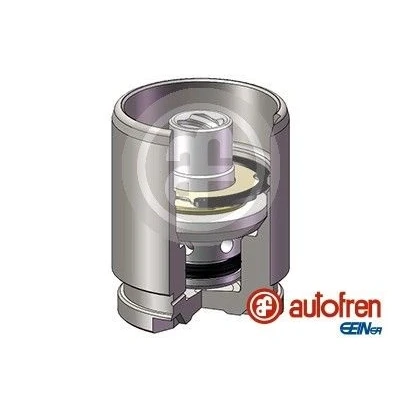 Imagen de AUTOFREN SEINSA D025120K Émbolo, pinza del freno 38 Eje trasero TOKICO/NISSIN/LUCAS NISSAN: Maxima V QX Berlina, Almera Tino