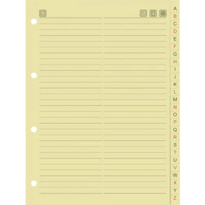 Imagen de Brunnen Recambio de agenda telefónica (cartulina, 160 x 213 mm)