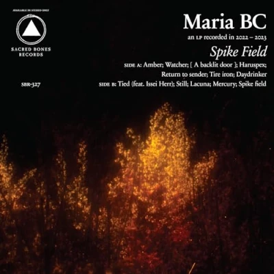 Imagen de Spike Field [Vinilo lts color]