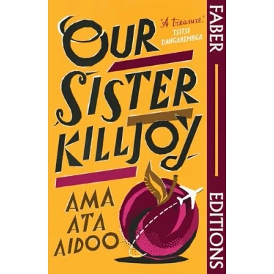 Imagen de Our Sister Killjoy (faber Editions)