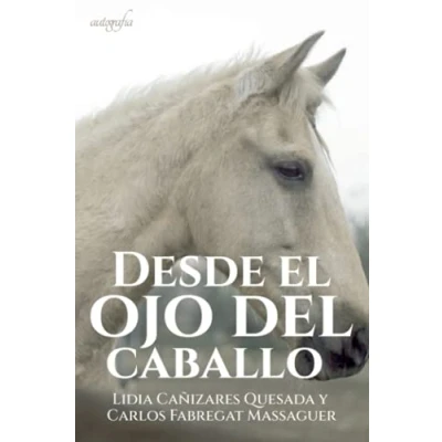 Imagen de Desde el ojo del caballo