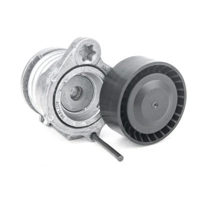 Imagen de SKF VKM 38212 Polea Tensora BMW: 3 Touring, 1 Hatchback, Berlina