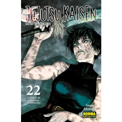 Imagen de JUJUTSU KAISEN 22