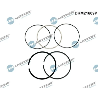 Imagen de Juego de segmentos del pistón Dr.Motor Automotive DRM21609P