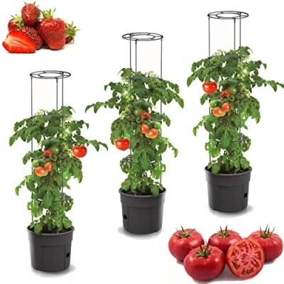 Imagen de botle 3 macetas para tomates, juego de 12 L, cultivador maceta, verduras, tomates